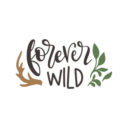 forever-wild-leaf-free-svg-file-SvgHeart.Com